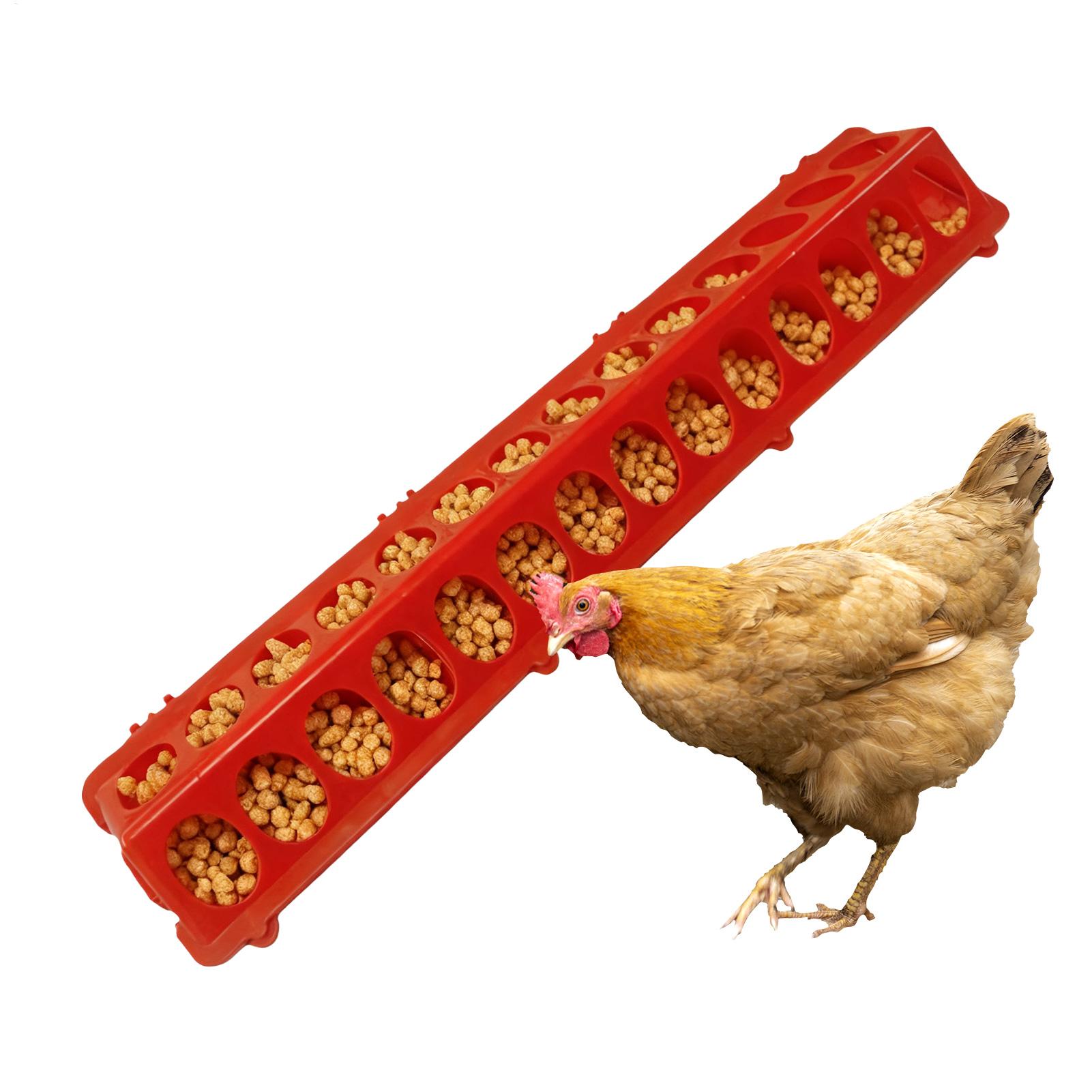 Baby Food With Chicken - Pigeon Feeder 28-hole Long Large Capacity