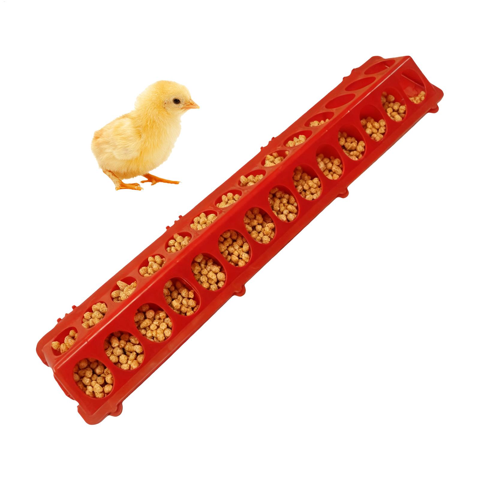 Pigeon Feeder 28-hole Long Lar - огляд і ціна Baby Food With Chicken